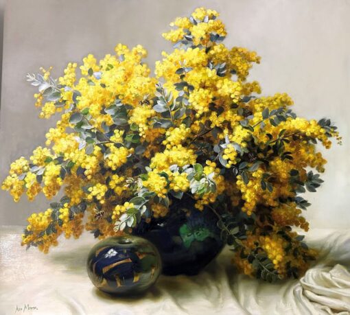 Mt Morgan Wattle