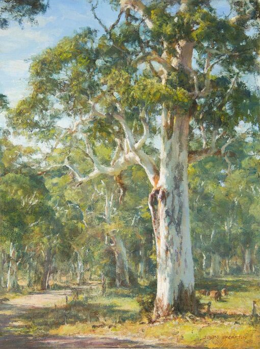morpeth art gallery, hunter valley, newcastle, nsw, investment art, fine art, original, artwork, collector, investment, artist, artist, oil, hans heysen, international award-winning, award, winning, international, best cow painter in the world, john mccartin, drawing magazine, international artist magazine, plein air magazine, american art collector, south west art magazine, australian art gifts, still lift, portraits, portrait, cow, landcape, on the road to hahndorf study, john mccartin