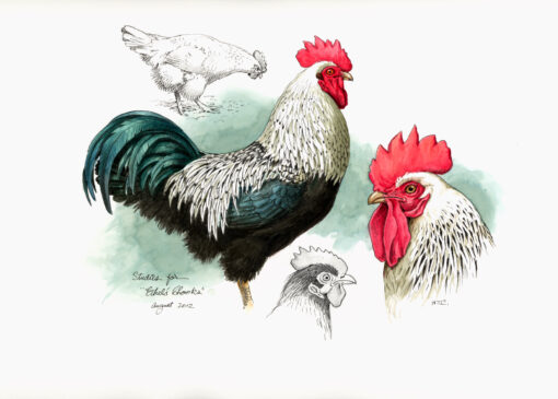 Study for Ethel's Chooks - SOLD