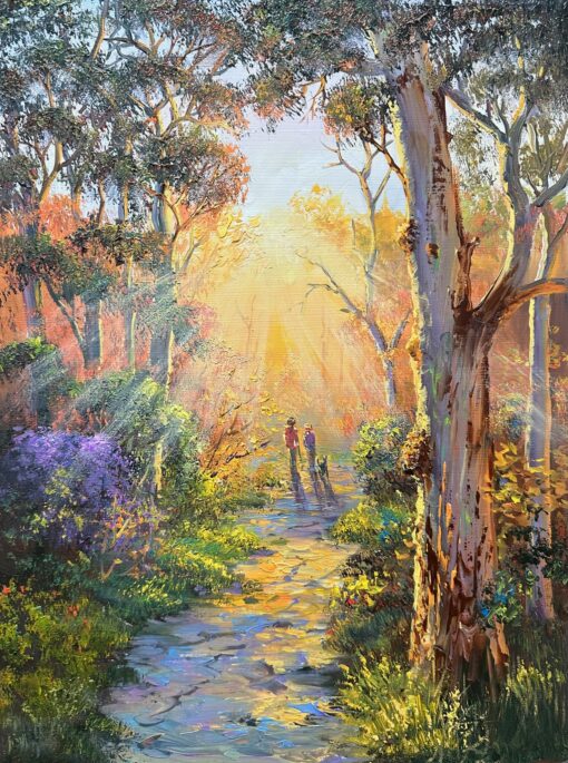 Early Morning Bushwalk - Barrington