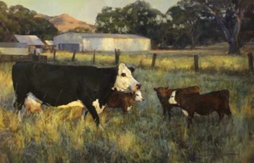morpeth art gallery, hunter valley, newcastle, nsw, investment art, fine art, original, artwork, collector, investment, artist, artist, oil, hans heysen, international award-winning, award, winning, international, best cow painter in the world, john mccartin, drawing magazine, international artist magazine, plein air magazine, american art collector, south west art magazine, australian art gifts, still lift, portraits, portrait, cow, landcape