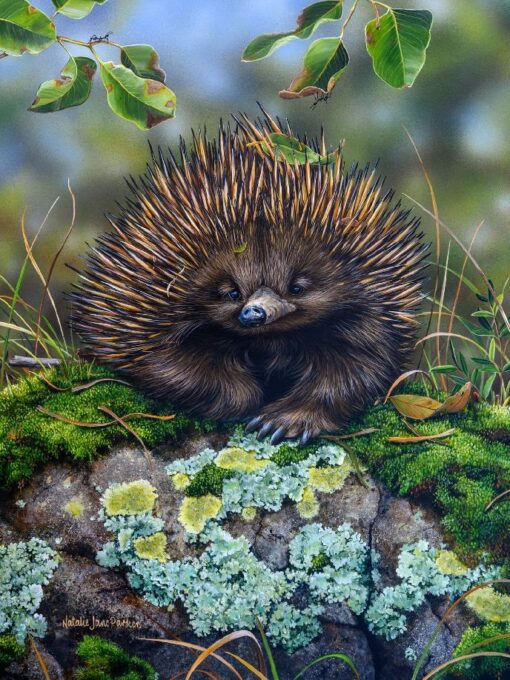 Echidna March