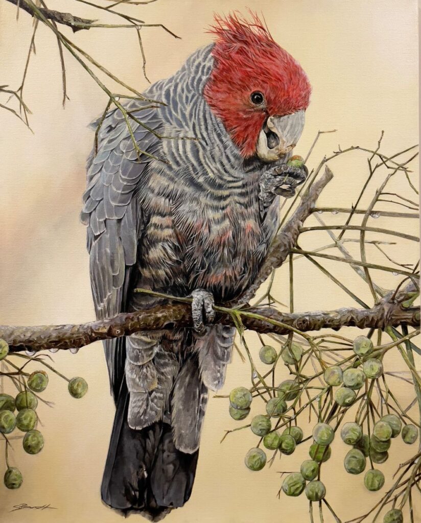 Welcome Stephen Bennett to Morpeth Gallery -