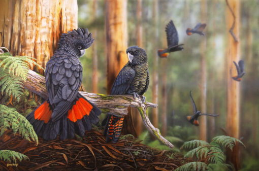 Untamed Harmony - SOLD