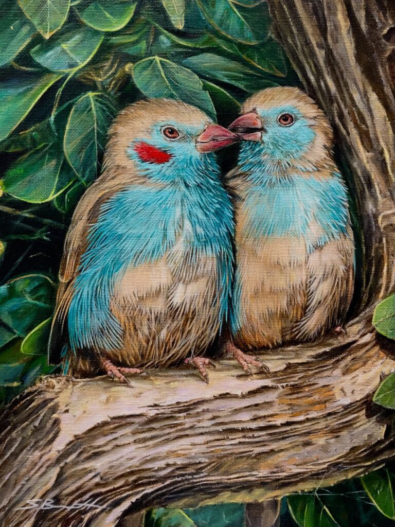 Welcome Stephen Bennett to Morpeth Gallery -