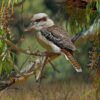 Silent Watch (Kookaburra) - Framed Giclee Reproduction - Image 2