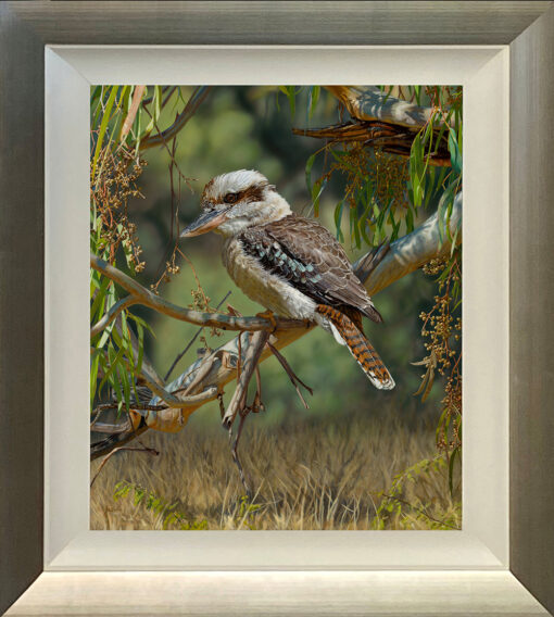 Silent Watch (Kookaburra) - Framed Giclee Reproduction