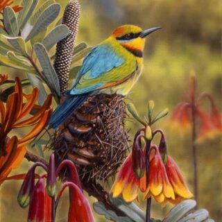Colour and Fragrance
