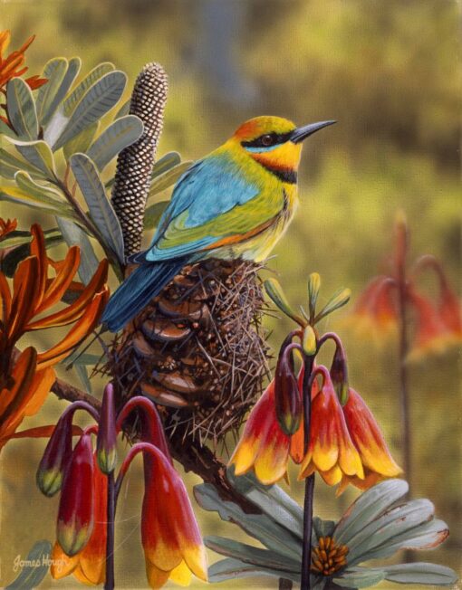 Colour and Fragrance