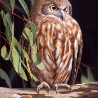 Unblinking Stare