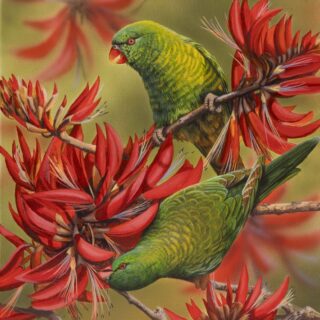 Vivid Duet