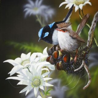 Wren Bouquet (Superb Wrens and Flannel Flowers) Framed Giclee on Canvas - SOLD