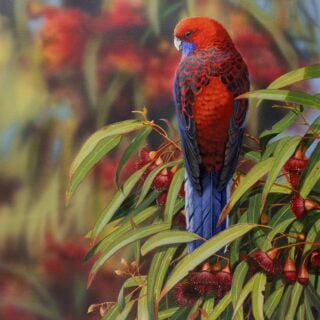 Crimson Harmony