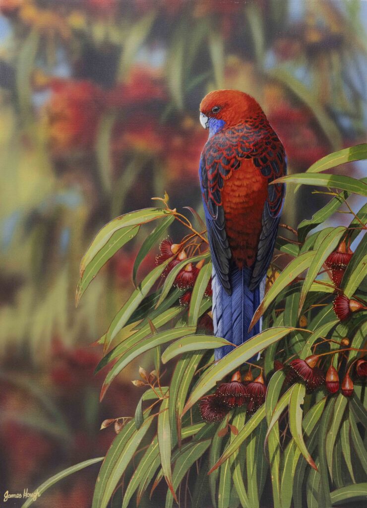 Crimson Harmony Morpeth Gallery