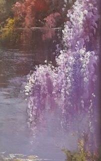 Wisteria Blooms