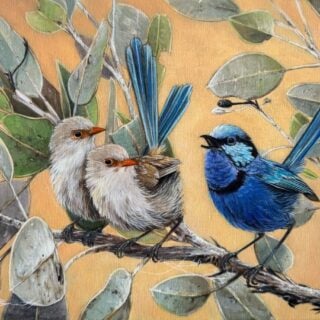 morpeth art gallery, hunter valley, newcastle, nsw, investment, fine, original, artwork, collector, artist, artists, investment, watercolour, watermedia, native birds, feathers, endangered, yellow tailed black cockatoo, eastern rosella, Australian king parrot, red tailed black cockatoo, sulphur crested cockatoo, wrens, splendid wrens