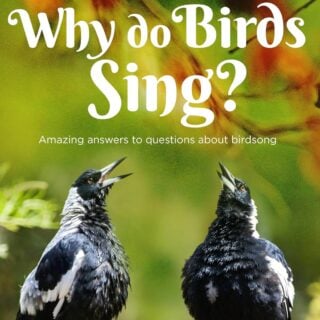 Why do Birds Sing?