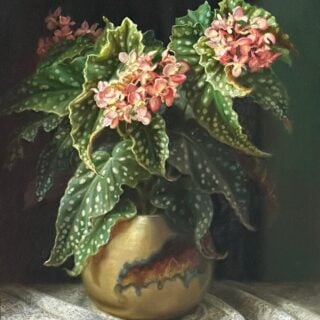 morpeth art gallery, hunter valley, newcastle, nsw, investment, fine, original, artwork, collector, artist, artists, investment, oil, still life, art renewal centre, roses, lace, giclee reproduction, living artist, international finalist, portraits, maiden hair fern, tablecloths, wooden table, published, australian art gifts, art renewal centre living artist, cards, realism, australian portrait artists society