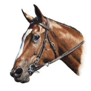 Apocalyptic Head Study