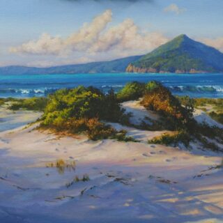 morpeth art gallery, hunter valley, newcastle, nsw, investment, fine, original, artwork, collector, artist, artists, investment, wilderness, landscape, coastal, underwater, oil, stretched canvas, canvas board, cotton duck board, lady elliot island, anna bay, fingal bay, nelson bay, kalbarri, blue holes, depot beach, smokey cape, port stephens, jimmys beach, bennetts beach, hawks nest, Jarvis bay, south coast, myall lakes, foster, north coast, snorkelling, diving, scuba diving, rainforest, underwater landscape, river red gums, Antarctic beech trees, lamington national park, conservation, environment, published artist, australian art gifts, scales, turtles, sea horses, sunset, sunrise, waves, seaweed, coral, fish, sting rays, cow tail sting ray, sea horses, coral, great barrier reef, published