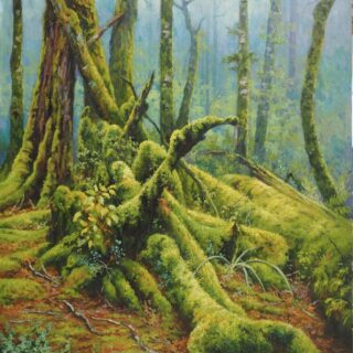 morpeth art gallery, hunter valley, newcastle, nsw, investment, fine, original, artwork, collector, artist, artists, investment, wilderness, landscape, coastal, underwater, oil, stretched canvas, canvas board, cotton duck board, lady elliot island, anna bay, fingal bay, nelson bay, kalbarri, blue holes, depot beach, smokey cape, port stephens, jimmys beach, bennetts beach, hawks nest, Jarvis bay, south coast, myall lakes, foster, north coast, snorkelling, diving, scuba diving, rainforest, underwater landscape, river red gums, Antarctic beech trees, lamington national park, conservation, environment, published artist, australian art gifts, scales, turtles, sea horses, sunset, sunrise, waves, seaweed, coral, fish, sting rays, cow tail sting ray, sea horses, coral, great barrier reef, published