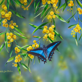 Golden Flutter - SOLD