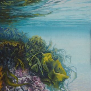 morpeth art gallery, hunter valley, newcastle, nsw, investment, fine, original, artwork, collector, artist, artists, investment, wilderness, landscape, coastal, underwater, oil, stretched canvas, canvas board, cotton duck board, lady elliot island, anna bay, fingal bay, nelson bay, kalbarri, blue holes, depot beach, smokey cape, port stephens, jimmys beach, bennetts beach, hawks nest, Jarvis bay, south coast, myall lakes, foster, north coast, snorkelling, diving, scuba diving, rainforest, underwater landscape, river red gums, Antarctic beech trees, lamington national park, conservation, environment, published artist, australian art gifts, scales, turtles, sea horses, sunset, sunrise, waves, seaweed, coral, fish, sting rays, cow tail sting ray, sea horses, coral, great barrier reef, published