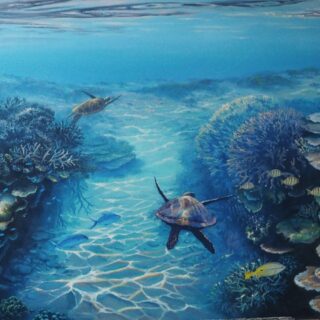 morpeth art gallery, hunter valley, newcastle, nsw, investment, fine, original, artwork, collector, artist, artists, investment, wilderness, landscape, coastal, underwater, oil, stretched canvas, canvas board, cotton duck board, lady elliot island, anna bay, fingal bay, nelson bay, kalbarri, blue holes, depot beach, smokey cape, port stephens, jimmys beach, bennetts beach, hawks nest, Jarvis bay, south coast, myall lakes, foster, north coast, snorkelling, diving, scuba diving, rainforest, underwater landscape, river red gums, Antarctic beech trees, lamington national park, conservation, environment, published artist, australian art gifts, scales, turtles, sea horses, sunset, sunrise, waves, seaweed, coral, fish, sting rays, cow tail sting ray, sea horses, coral, great barrier reef, published