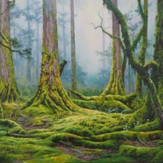 morpeth art gallery, hunter valley, newcastle, nsw, investment, fine, original, artwork, collector, artist, artists, investment, wilderness, landscape, coastal, underwater, oil, stretched canvas, canvas board, cotton duck board, lady elliot island, anna bay, fingal bay, nelson bay, kalbarri, blue holes, depot beach, smokey cape, port stephens, jimmys beach, bennetts beach, hawks nest, Jarvis bay, south coast, myall lakes, foster, north coast, snorkelling, diving, scuba diving, rainforest, underwater landscape, river red gums, Antarctic beech trees, lamington national park, conservation, environment, published artist, australian art gifts, scales, turtles, sea horses, sunset, sunrise, waves, seaweed, coral, fish, sting rays, cow tail sting ray, sea horses, coral, great barrier reef, published