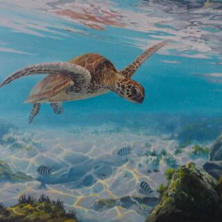 Jigsaw - On Search of Weed