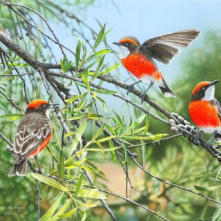 Jigsaw - The Tri Coloured Trio (Crimson Chats)