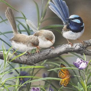 Jigsaw - Distractions (Wrens)