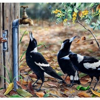 Jigsaw - Waiting for my Turn (Magpies)
