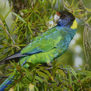 Who's Looking - SOLD