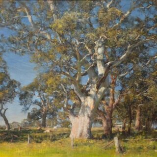 morpeth art gallery, hunter valley, newcastle, nsw, investment art, fine art, original, artwork, collector, investment, artist, artist, oil, hans heysen, international award-winning, award, winning, international, best cow painter in the world, john mccartin, drawing magazine, international artist magazine, plein air magazine, american art collector, south west art magazine, australian art gifts, still lift, portraits, portrait, cow, landcape