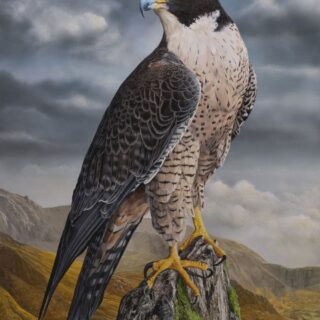 High Country Sentinel - SOLD