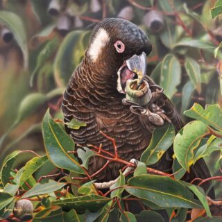 Honkey Nut Feast