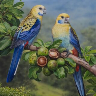 The Orchard Watchers