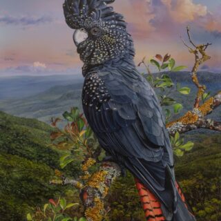Twilight on Black Wings