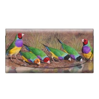 Greg Oakley - A Moment of Stillness Glasses Case