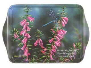 Botanical Emblems Common Heath Scatter Tray