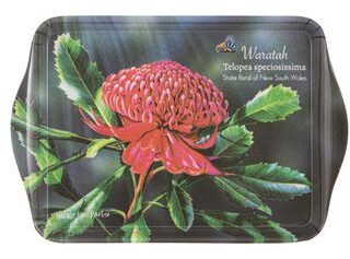 Botanical Emblems Waratah Scatter Tray