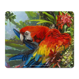 Stephen Jesic Morning Reflections - Microfibre Mouse Pad