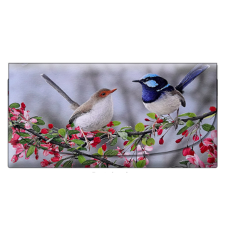 Frances McMahon - Courtship Velour Glasses Case