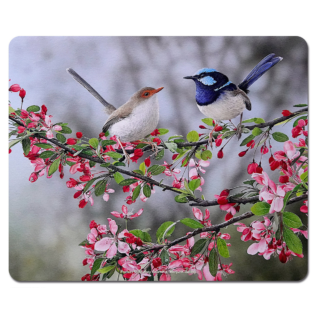 Frances McMahon - Courtship Microfibre Mouse Pad