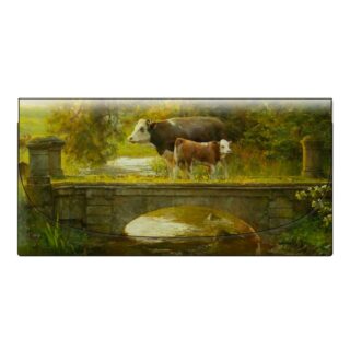 John McCartin - Golden Delight Velour Glasses Case