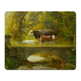 John McCartin -Golden Delight  Microfibre Mouse Pad