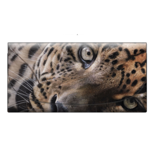 Garry Fleming - The Lazy Leopard Velour Glasses Case