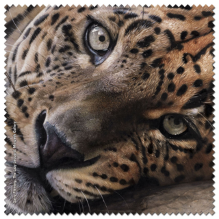 Garry Fleming - The Lazy Leopard Microfibre Cloth