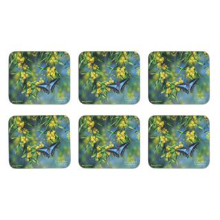 Botanical Emblems Wattle Set 6 coasters in gift box